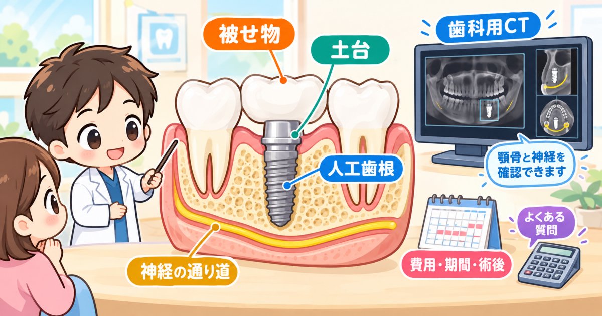 人工歯根の疑問を解消するよくある質問Q&A｜費用や期間から術後まで
